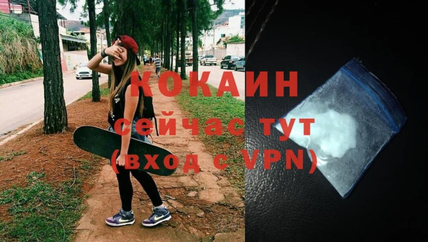 jwh Карпинск