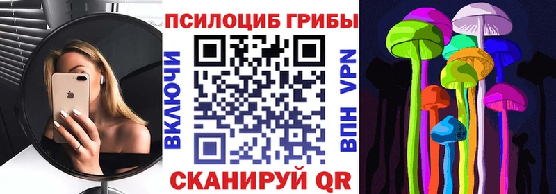 Псилоцибиновые грибы Magic Shrooms  Купить где  Тосно 